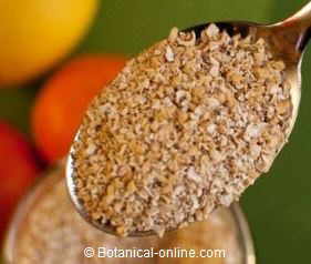 cucharada de salvado de avena rica en fibra