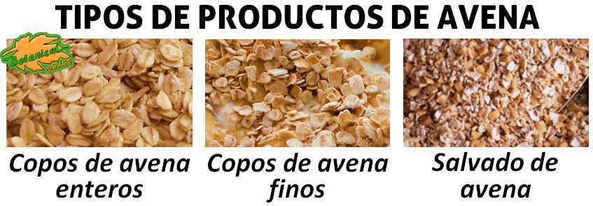 tipos de avena, copos, salvado, cereal entero