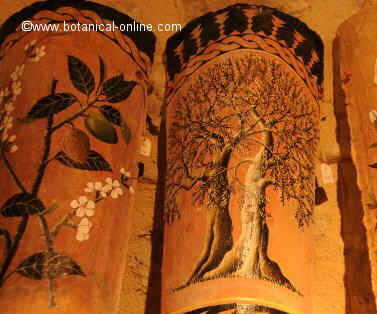 ayurveda