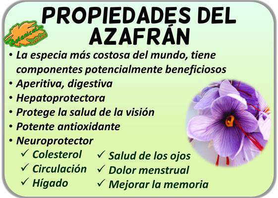 propiedades medicinales del azafran