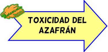 toxicidad del azafran