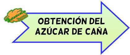 obtencion azucar cana