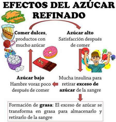 Efectos del azúcar refinado, digesion de los dulces industriales