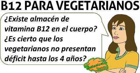 existe almacen de vitamina b12 en vegetarianos