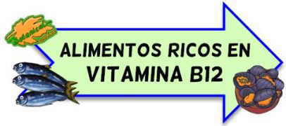 alimentos ricos en b12