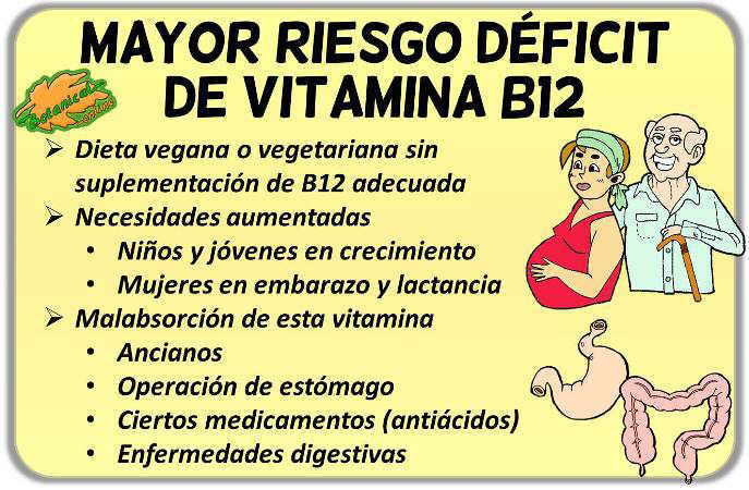 riesgo deficiencia deficit de vitamina b12 vegetarianos ancianos estomago enfermedades