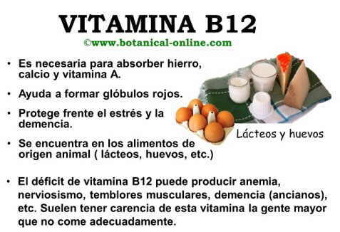 Propiedades de la vitamina B12