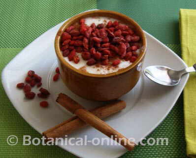 yogur con canela y bayas goji