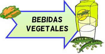 bebidas vegetales