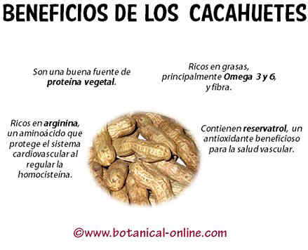 Beneficios de los cacahuetes