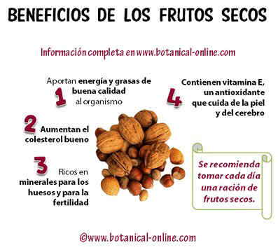 Los frutos secos fuente de nutrientes - Farmaoptics