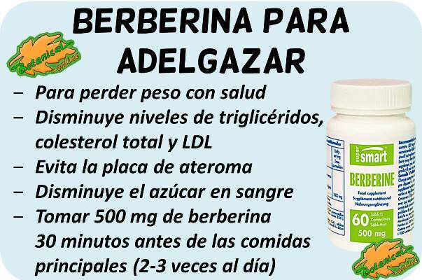 propiedades medicinales y beneficios suplemento berberina para bajar el colesterol
