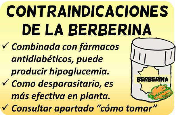 contraindicaciones suplementos de berberina