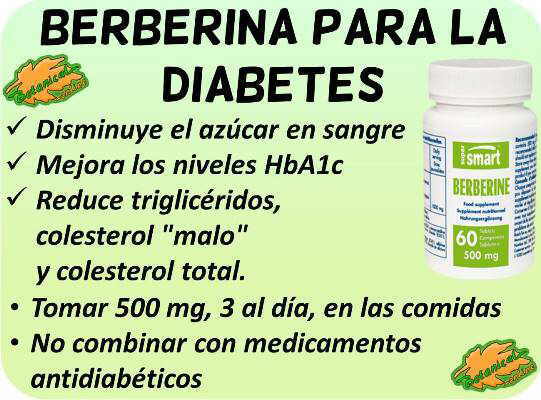 propiedades medicinales y beneficios suplemento berberina para la diabetes