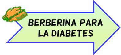 berberina diabetes