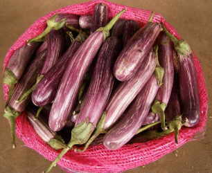 berenjena morada mercado