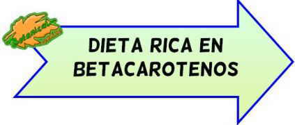 dieta rica en betacarotenos