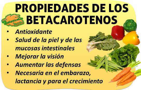 propiedades de los betacarotenos vitamina a antioxidantes