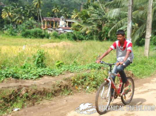 chico paseando en bicicleta