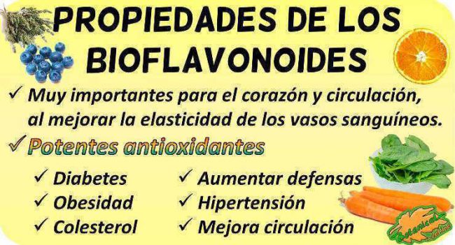 bioflavonoides propiedades de los flavonoides 