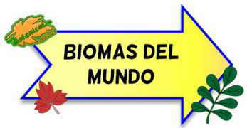 biomas del mundo