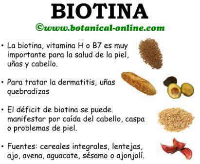 Propiedades de la biotina o vitamina H