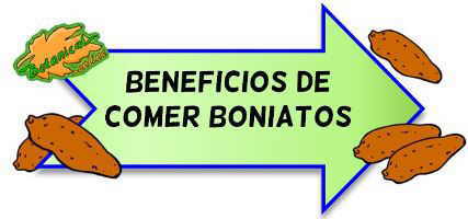 boniato beneficios propiedades