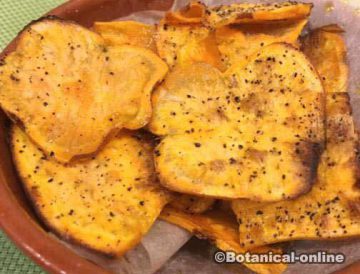 boniato, camote o batata en forma de chips