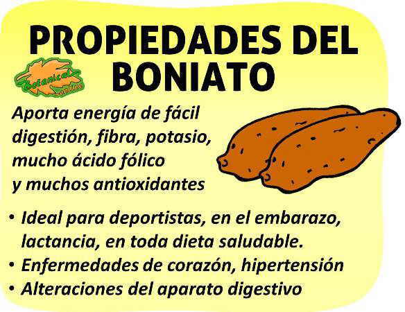 propiedades del boniato camote