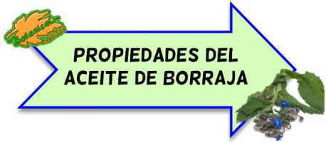 aceite borraja propiedades beneficios