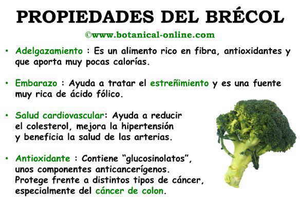 Propiedades y beneficios del brecol o brocoli para la salud