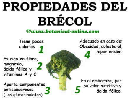 Propiedades curativas del brecol, brocoli y sus beneficios para la salud