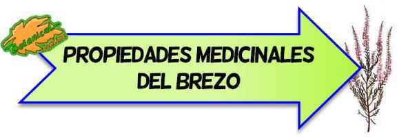 propiedades medicinales del brezo