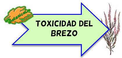 toxicidad del brezo