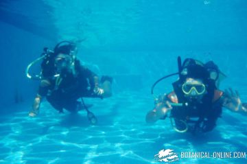 submarinismo