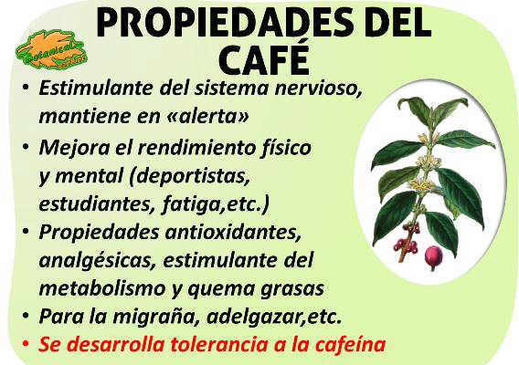 Propiedades medicinales y beneficios del café