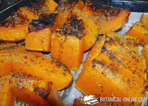 calabaza asada