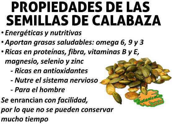 semillas de calabaza o zapallo propiedades y beneficios