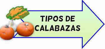 tipos de calabazas