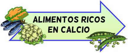 alimentos ricos en calcio