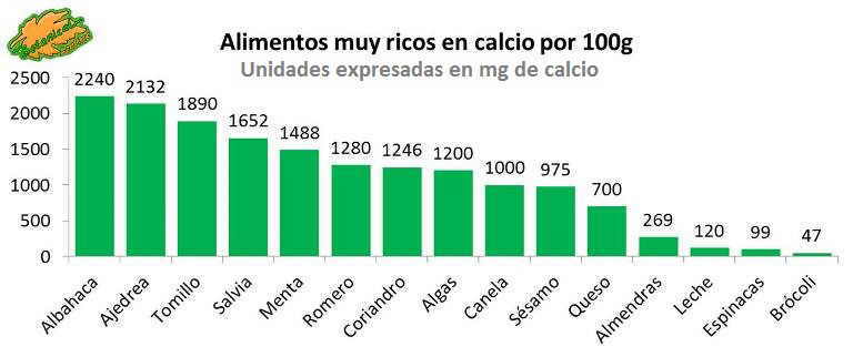 alimentos ricos en calcio hierbas aromaticas y especias