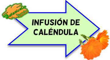 infusion de calendula