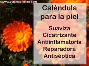 propiedades de la calendula para la piel