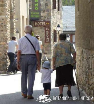 foto ancianos con niño caminando por la calle