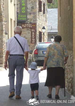 abuelos con el nieto