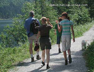 paseo por el campo