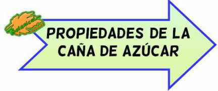 propiedades medicinales caña de azucar