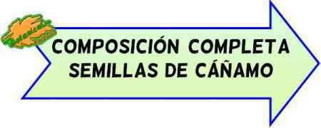 semillas canamo composicion