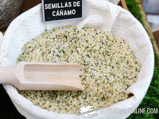 cañamo semillas omega 3