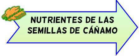 nutrientes de las semillas de cañamo